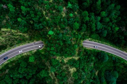 Paving the way: Mitigating the environmental cost of road infrastructure  